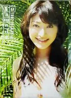 Masaru Yamada fiscal 2007 calendar