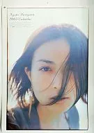 Kyoko Hasegawa Fiscal 2005 calendar