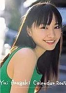 Yui Aragaki fiscal 2007 calendar
