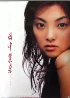 Rena Tanaka fiscal 2004 calendar