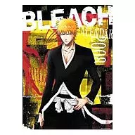 Bleach - Bleach - Fiscal 2008 calendar