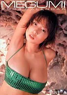 MEGUMI Calendario fiscal 2004