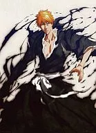 Bleach fiscal 2012 calendar