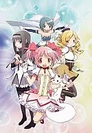 PUELLA MAGI MADOKA MAGICA 2012 Calendar