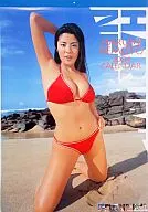 根本はるみ 2004年度カレンダー 