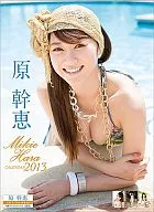 Mikie Hara fiscal 2013 calendar