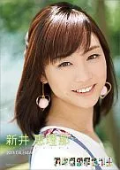 ErinA Arai Calendario fiscal 2013