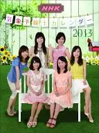 NHK Weather Forecaster 2013 calendar