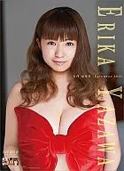 Erika Yazawa fiscal 2013 calendar