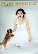 Hoshino Mari FY 2003 calendar