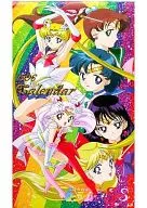 Sailor Moon SuperS 1996 Calendário
