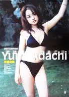 安達佑实2001年度壁挂挂历