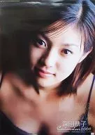 Kyōko Fukata FY 2000 calendar