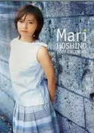 Hoshino Mari FY 2002 calendar