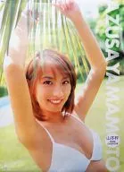 山本梓 2006年度 壁掛けカレンダー