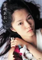 宮﨑あおい 2007年度カレンダー 