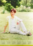 十輝いりす(宝塚歌劇団) 2015年度宝塚ポスターカレンダー