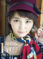 Rei Okamoto fiscal 2016 calendar