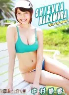 Shizuka Nakamura Calendario fiscal 2016