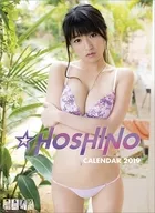 Hoshino fiscal 2019 calendar