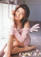 Hikaru Kawamura fiscal 2003 calendar