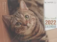 猫的年糕2022年度大日历