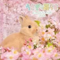 Living with a Rabbit 2024 calendar