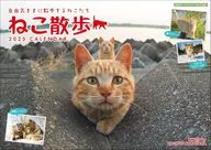 Nakayama 祥代 Cat Walk 2025 calendar