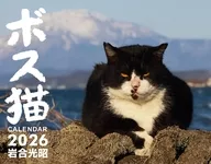 ボス猫 2026年度カレンダー