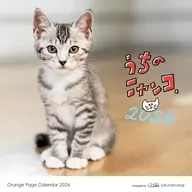 オレンジページ うちのニャンコ。2026年度壁掛カレンダー