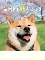 柴犬まるとおさんぽ 2026年度カレンダー
