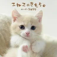 こねこのきもち 2027年度カレンダー