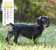 かわいいミニチュア・ダックスフンド 2027年度カレンダー
