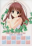 Irmã Princesa Abril de 2002 - Março de 2003 Calendário : Revista Dengeki G, Abril de 2002 Suplemento