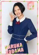 兒玉遥(HKT48) 2014年4月-9月ポケットスクールカレンダー 「CD 桜、みんなで食べた 初回プレス盤」 封入特典