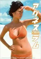 アグネス・ラム 2018年度卓上カレンダー