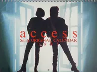 Access Fiscal 1995 calendar