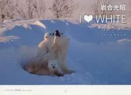 落合光昭 I LOVE WHITE 2016年度 壁掛けカレンダー エンタミクス 2016年2月号付録