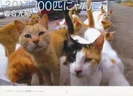 落合光昭 100匹にゃんこ 2017年度 壁掛けカレンダー エンタミクス 2017年2月号付録