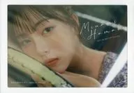 海滨美波挂历2022.4-2023.3