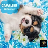 PICTWAN Cavalier (S edition) FY 2025 calendar