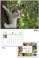 わんぱく子猫 ウォール＆デスクカレンダー2026