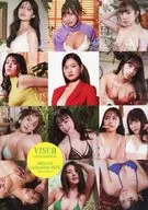 VISCA ENTERTAINMENT 2023.4-2024.3 オフィシャルカレンダー(壁掛けカレンダー)