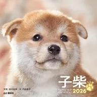 子柴 こしば 2026年度卓上カレンダー
