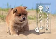 柴の子犬ごよみ 2026年カレンダー Wan 2026年1月号特別付録