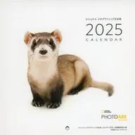PHOTOARK 2025年 壁掛け型カレンダー ナショナル ジオグラフィック日本版 2024年12月号 定期購読付録