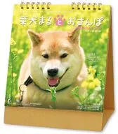 柴犬まるとおさんぽ 2027年卓上カレンダー