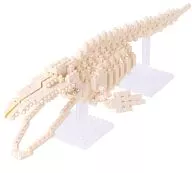 Nanoblock NBM-010 Skeleton model of blue whale