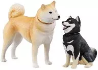 Pet Series AP-01 Shiba Inu & Mameshiba "Ania"