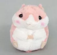 ももちゃん ころりんギミック 「ころはむコロン」